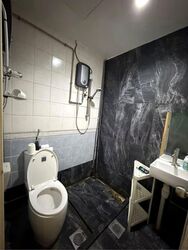The Sunny Spring (D14), Apartment #563437411